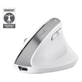 Bayo Mouse Ufficio Mano Destra RF senza fili  Bluetooth Ottico 2400 DPI Bianco