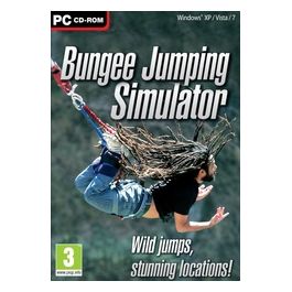 Bungee Simulator per Pc