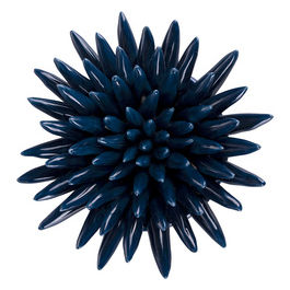 Riccio Di Mare Blue Grande