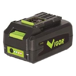 Vigor Batteria Al Litio 36V 25Ah