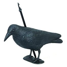 Dissuasori per Volatili Corvo 38x12.5x23cm