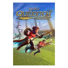 Videogioco Harry Potter Campioni Di Quidditch per PlayStation 4