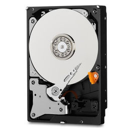 Western Digital Purple 1TB Hard Disk 3.5" SATA per Videosorveglianza
