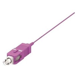 Pigtail 50/125 Om4 Sc 2mt Viola