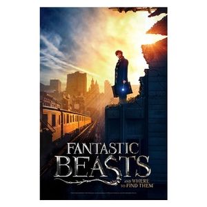 Puzzle Fantastic Beast - New York 500 pz 